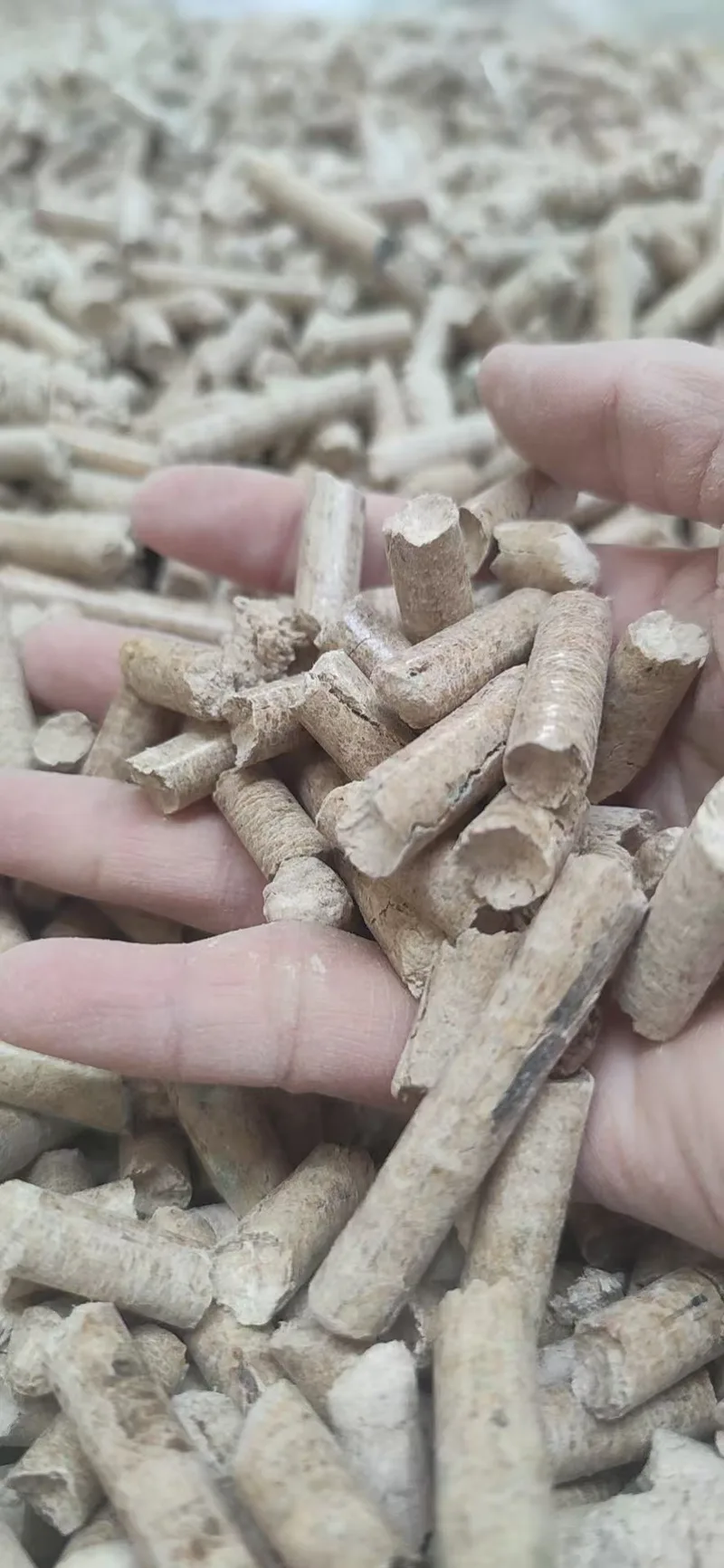Wood pellets held in a hand above loose pellets